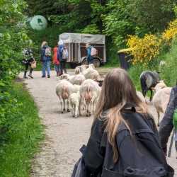 Spannende Einblicke in die Bio-Landwirtschaft