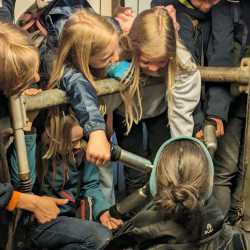 Spannende Einblicke in die Bio-Landwirtschaft