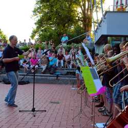 Serenade an lauem Sommerabend