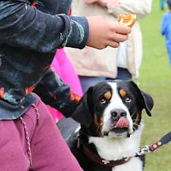 Achtklässler organisieren buntes Sportfest