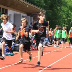 Sportfest mit Wettbewerben und Turnieren in vier Disziplinen