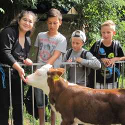 6W besucht den Untermühlbachhof 