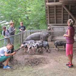 6W besucht den Untermühlbachhof 