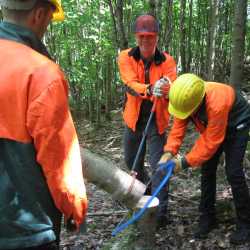 Arbeitseinsatz im Waldschulheim