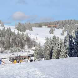 Siebtklässler haben Spaß im Schnee