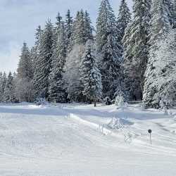 Siebtklässler haben Spaß im Schnee