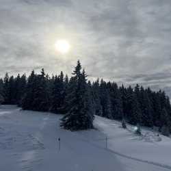 Siebtklässler haben Spaß im Schnee