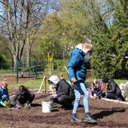 Praktische Naturpädagogik: Fachschüler legen Garten an