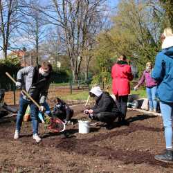 Praktische Naturpädagogik: Fachschüler legen Garten an