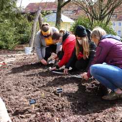 Praktische Naturpädagogik: Fachschüler legen Garten an