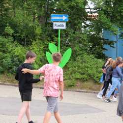 Bemerkenswerte Blumen erblühen auf Schulhof 