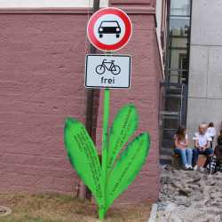 Bemerkenswerte Blumen erblühen auf Schulhof 