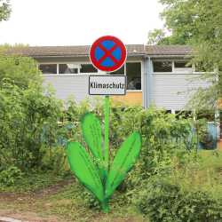 Bemerkenswerte Blumen erblühen auf Schulhof 