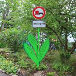 Bemerkenswerte Blumen erblühen auf Schulhof 