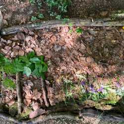 Natur, Geschichte, Kunst und jede Menge Spaß im Landschulheim