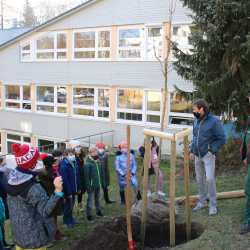 Fünftklässler pflanzen seltene Linde 