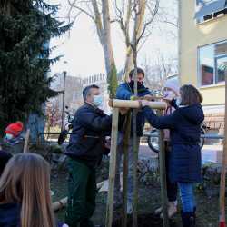 Fünftklässler pflanzen seltene Linde 