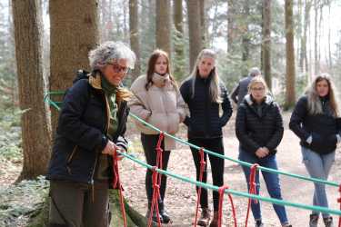 Tiefseilgarten selbst gebaut