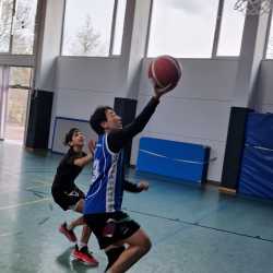 Schulpokal: Lehrer gewinnen beim Basketball