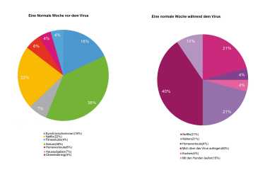 Das Virus und ich - Zehntklässler beschreiben, wie die Pandemie ihren Alltag verändert