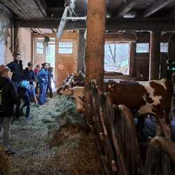 Landwirtschaft hautnah: Sechstklässler besuchen Untermühlbachhof