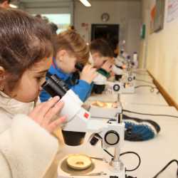 Offene Türen, strahlende Gesichter: Die Zinzendorfschulen stellen sich vor