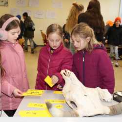 Viertklässlerparty macht Laune auf die Zinzendorfschulen