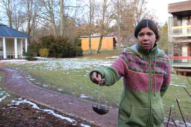 Festschmaus für die Wildvögel