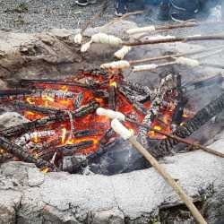 Fichten fällen und Kompass lesen: 8R im Waldlandheim