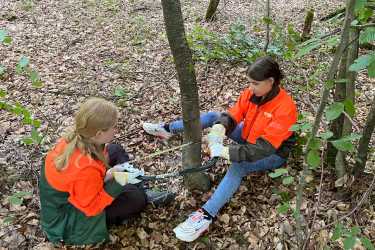 8R pflegt den Forst im Waldschulheim