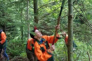 Fichten fällen und Kompass lesen: 8R im Waldlandheim